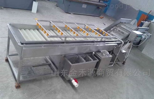 秋意正濃公司 引領(lǐng)產(chǎn)業(yè)革新，新型果蔬清洗風(fēng)干流水線與先進(jìn)汽輪機同步上市